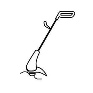 Krūmgriezis - krūmgriezis